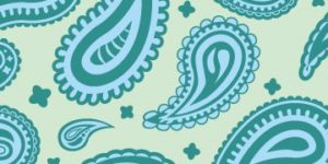 paisley_l